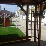 Petrovics 1 *